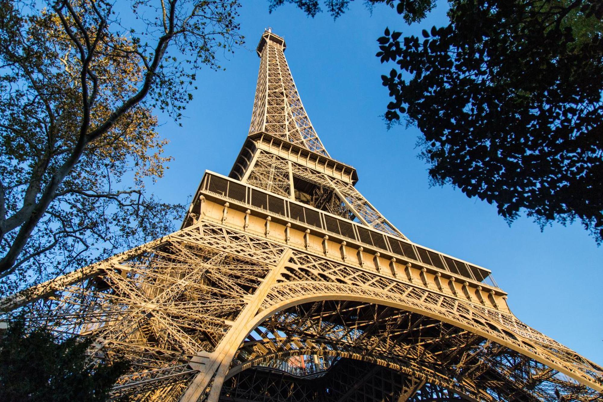 Des Tulipes In * Parigi