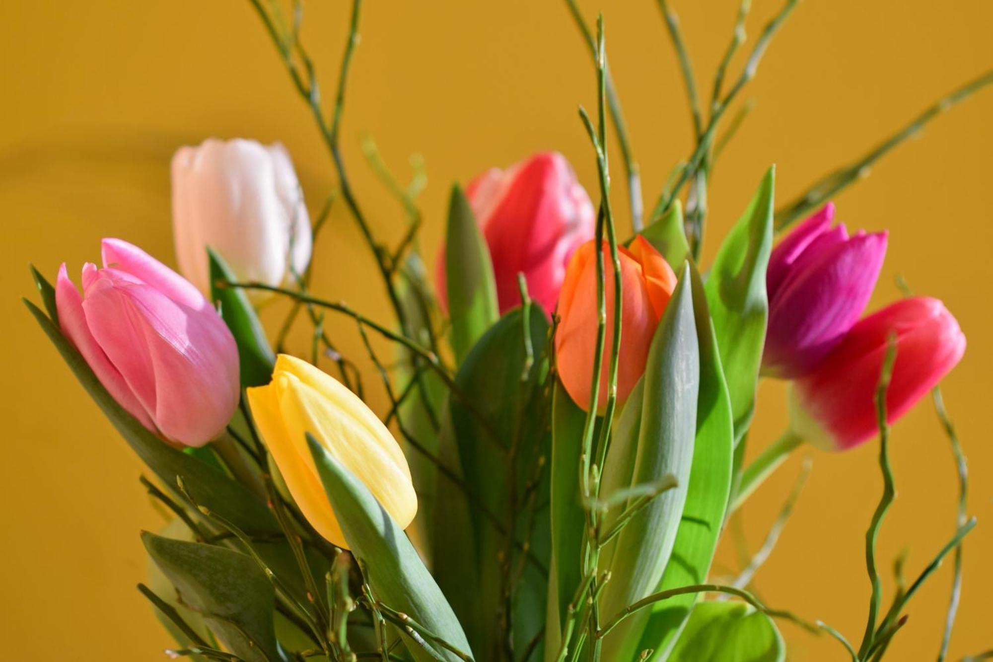 Appartamento Des Tulipes In Parigi